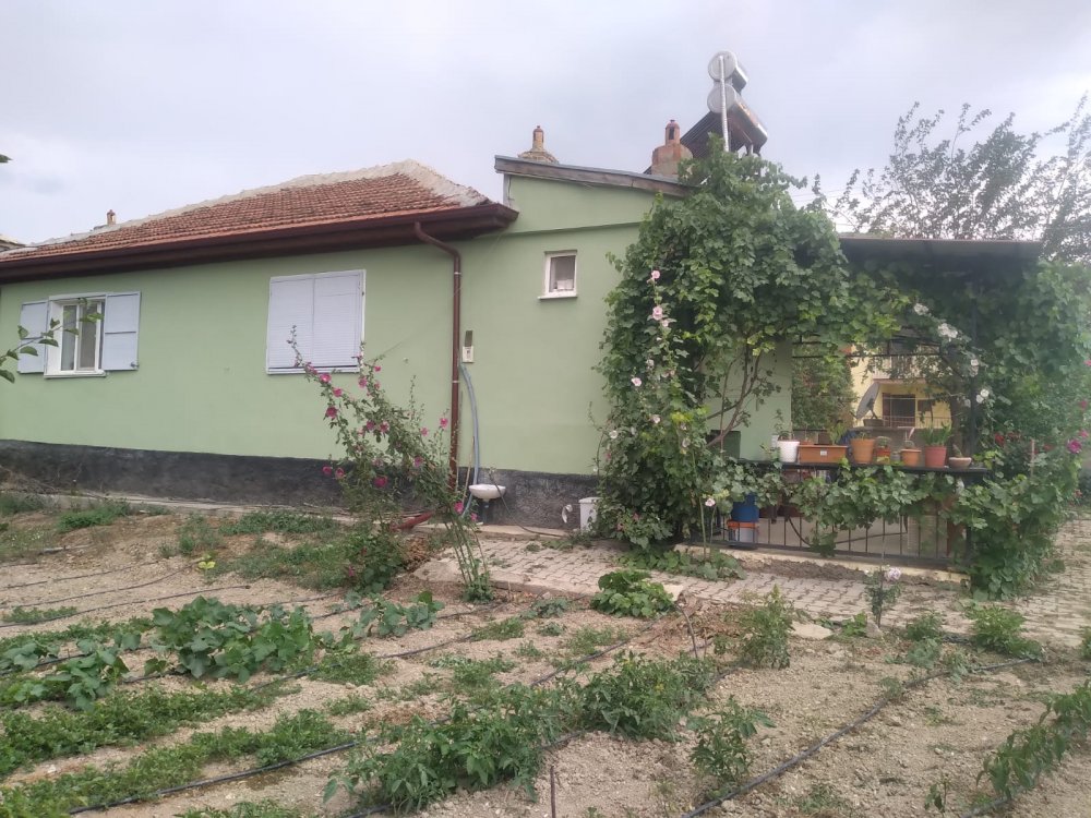 Alanyurt mah.1940m2içerisinde 3+1müstakil evi olup ful bakımlı çeşitli meyve ağaçları olan çift girişli ana yol üzerinde Bodrumlu villa satılıktır